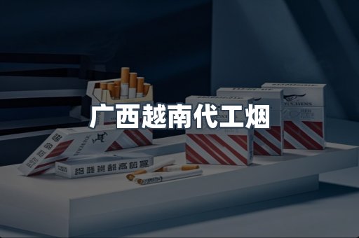广西越南代工烟